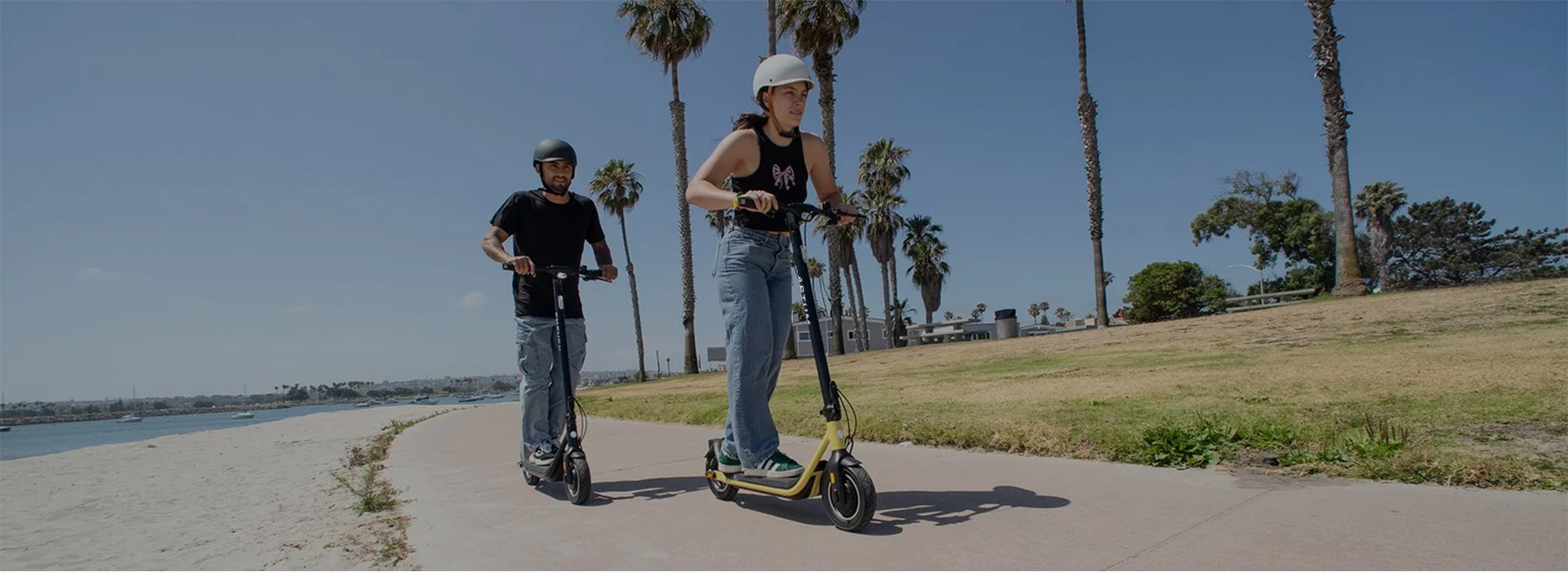 Banner-Electric scooter